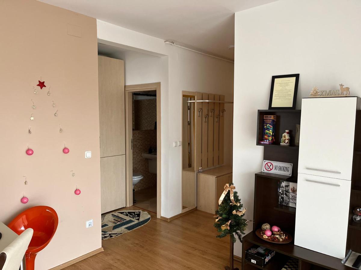 Anissia Apartament Appartamento Sinaia Esterno foto