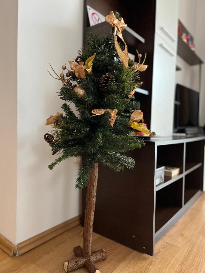 Anissia Apartament Appartamento Sinaia Esterno foto
