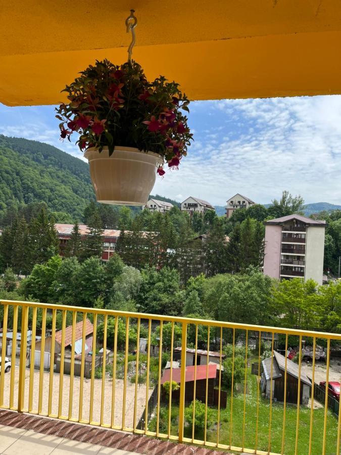 Anissia Apartament Appartamento Sinaia Esterno foto