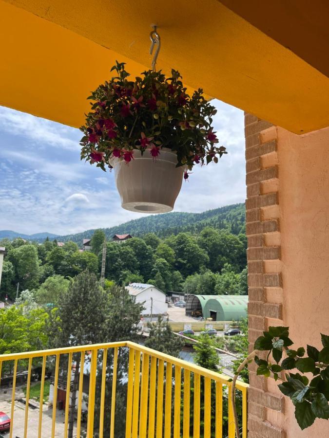 Anissia Apartament Appartamento Sinaia Esterno foto